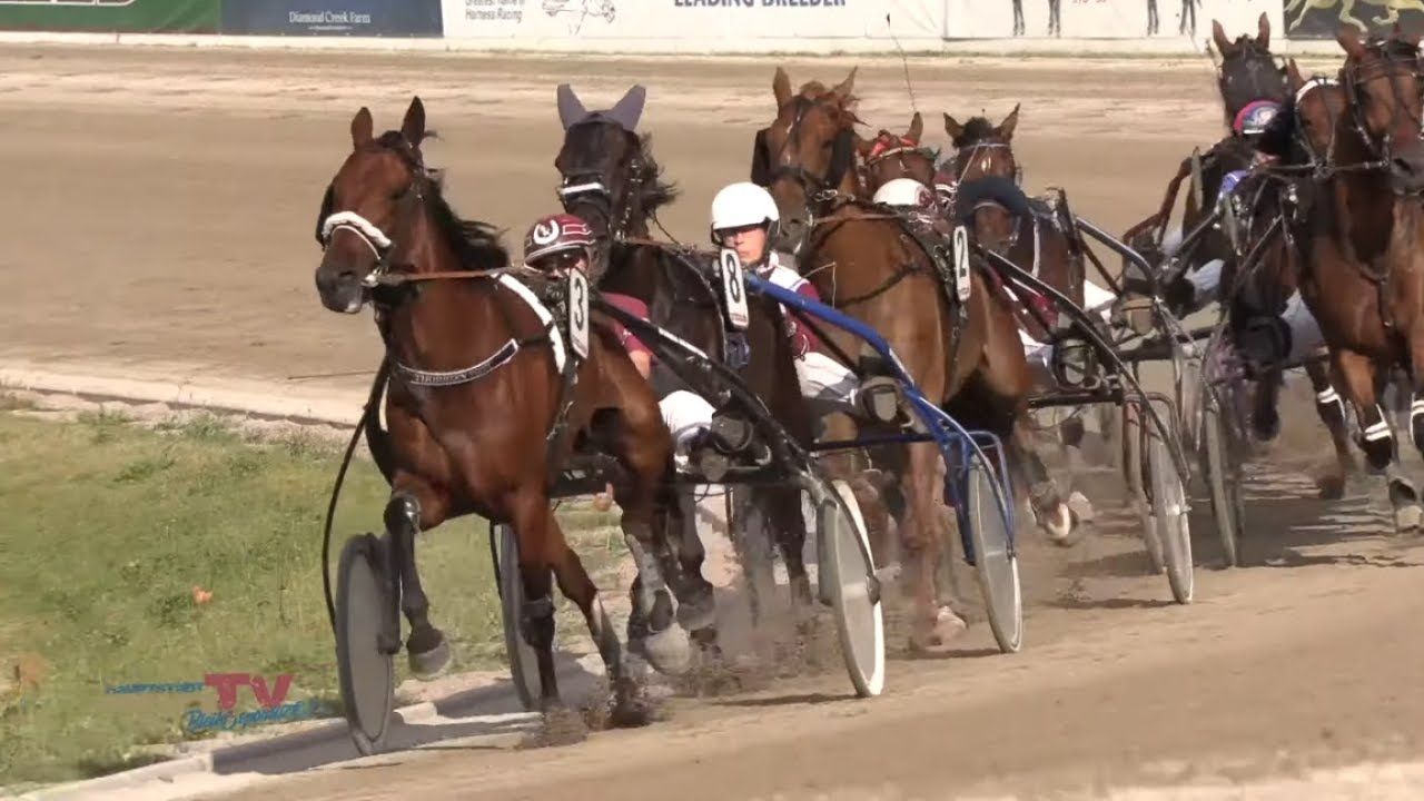 Deutsches Traber Derby 2021 Deutsches Traber Derby 2021