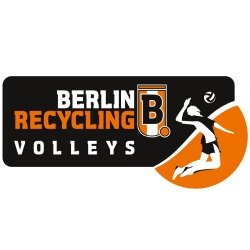 partner-brvolleys-verein-250