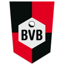 partner-bvb-verein-250