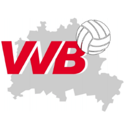 partner-volleyball-verband-250